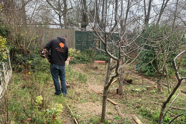 Worker cutting hedges